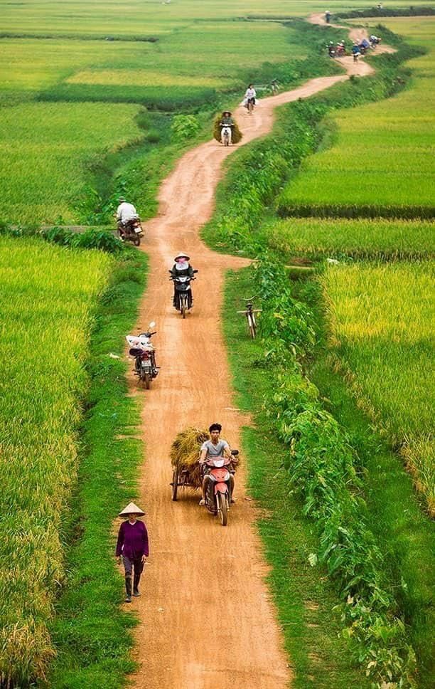 🍀A.MDC.NFT🍀 tweet media