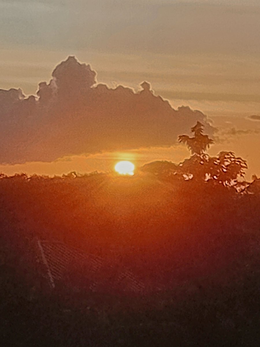 ieream's tweet image. Beautiful sunset in my village Hermitage 🌇 
❤️🇹🇹