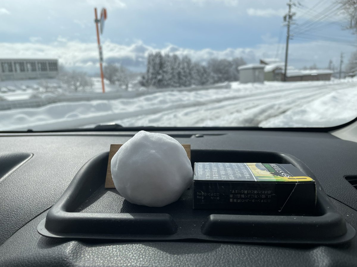 tabasu115's tweet photo. ���謝の言葉しか出ない。
雪玉。 https://t.co/IskkJeU5J3