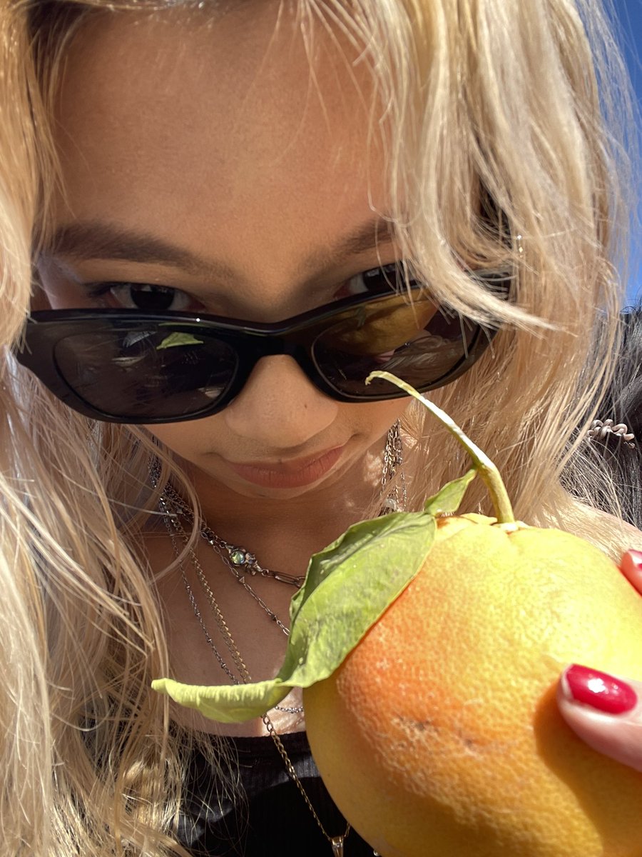 went to Coachella valley and was given a free grapefruit, we are so up rn 🍊