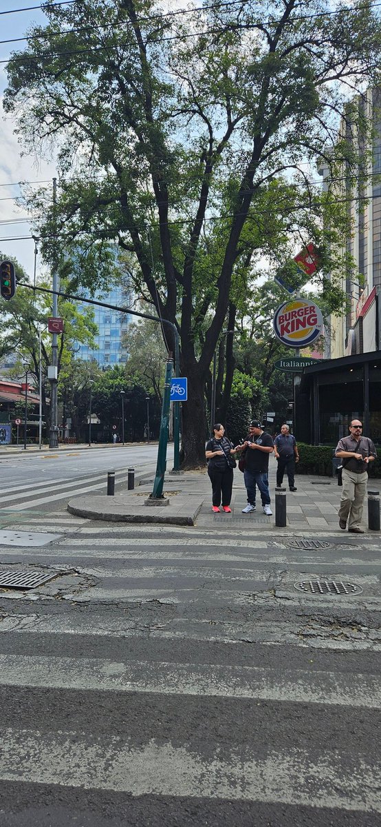 Divazteca's tweet image. Hace más de 1 año un automóvil chocó con el semáforo de peatones en la esquina de filadelfia e Insurgentes, al día de hoy siguen sin ponerlo. @BJAlcaldia @LaNapolesCdMx