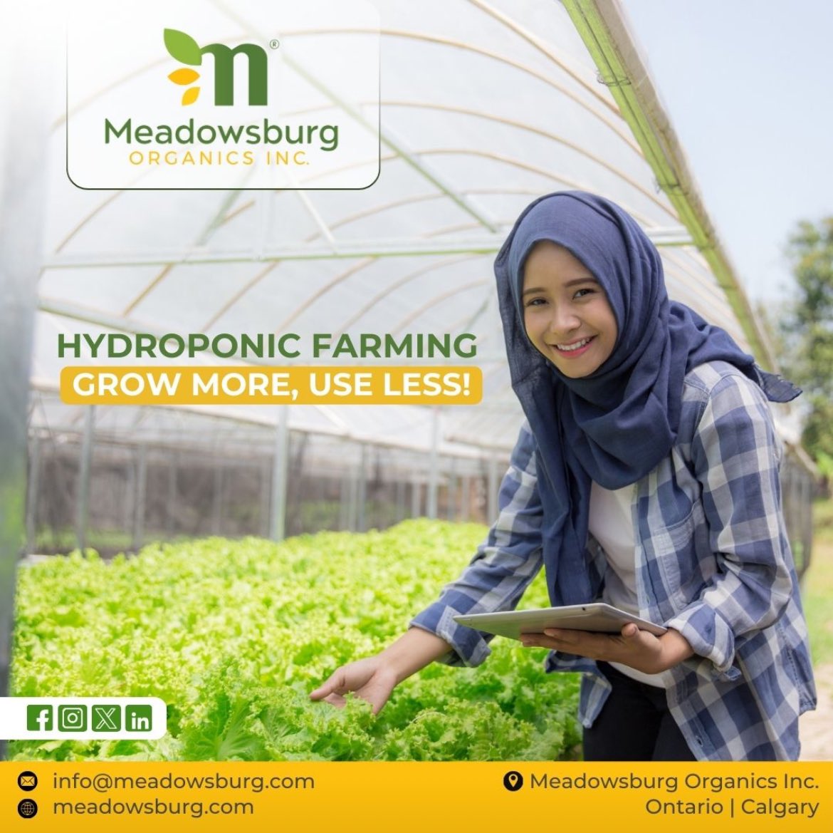 MeadowsburgOrg's tweet photo. Grow more with 90% less water! 🌱❄️
With Canada’s harsh winters & limited land, hydroponics enables fresh, local, year-round farming. More yield, less waste, no soil! The future of sustainable food is here.
#Hydroponics #SustainableFarming #UrbanAg #GrowFresh #Meadowsburg https://t.co/hDJu3jGtIS