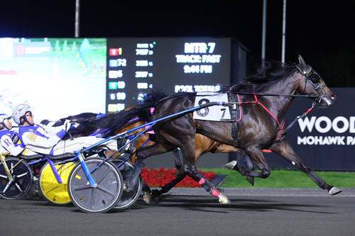 O'Brien Award winner for 2YO trotting fillies

Monalishi (Green Manalishi-Pretty Phylly G-RC Royalty)

Breeder: Shmuel Farhi
Owners: Tim Klemencic &amp; Blake Macintosh
Trainer: <a href="/BlakeMacracing/">blake macintosh</a> 
Drivers: <a href="/Jamesomac26/">James MacDonald</a> &amp; <a href="/Jodyjamracing/">Jody Jamieson</a>