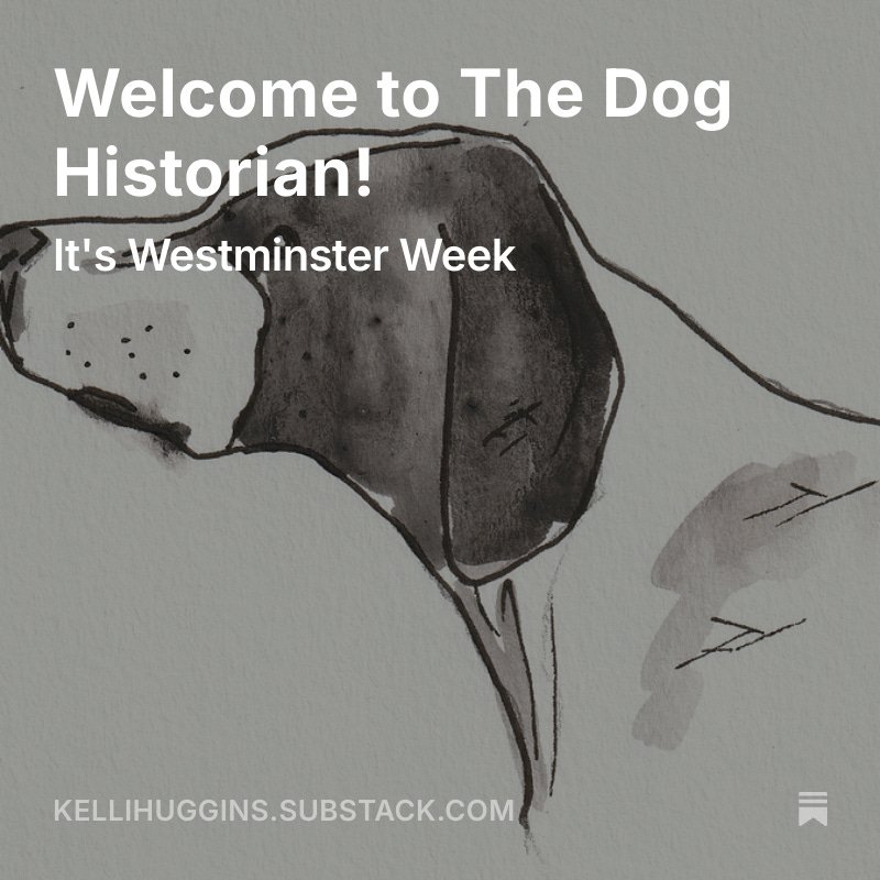 I've made the Substack plunge. Want a dog history newsletter in your inbox semi-regularly? Here you go! kellihuggins.substack.com/p/welcome-to-t…