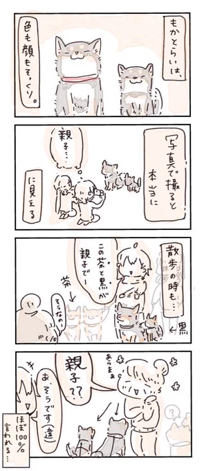 一週間の柴4コマ漫画まとめ(1/2)
#4コマ漫画  #柴犬 #日常 