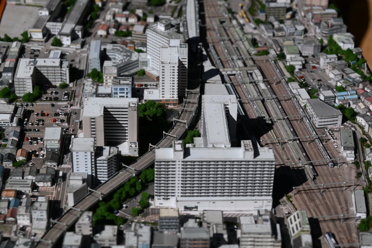 専用ページ お写真一枚目と2枚目のセット 専用ページ お写真一枚目と2