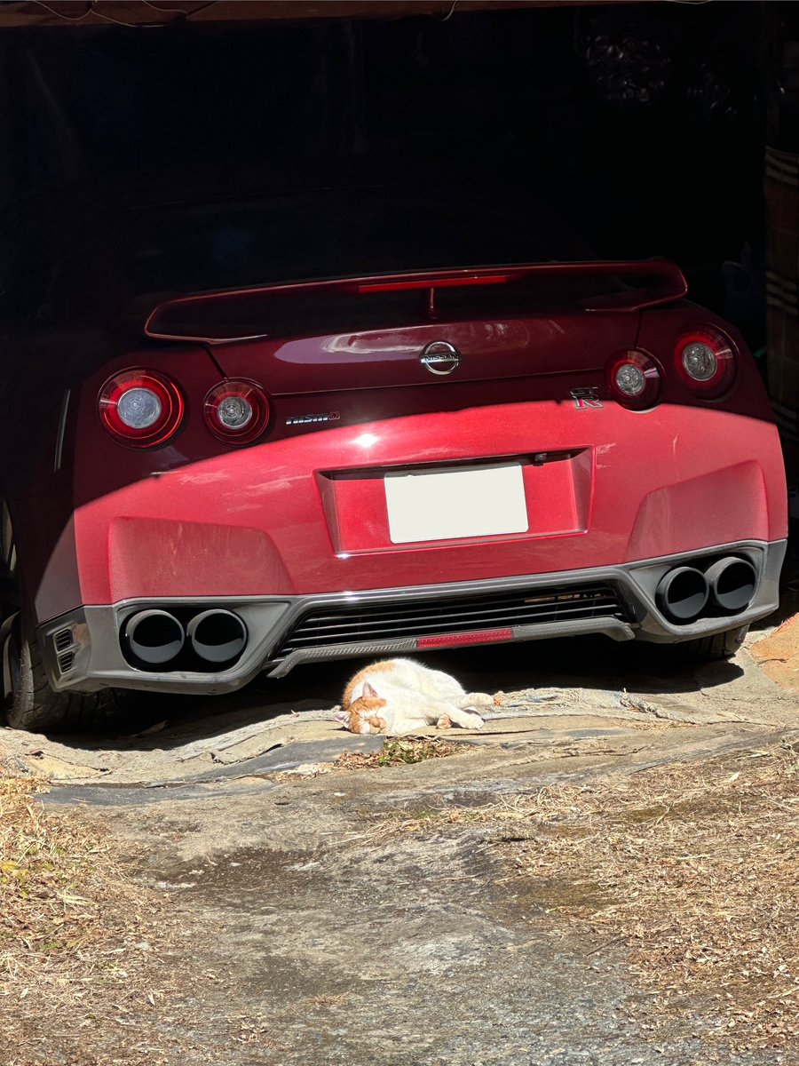 たなっぴ (@tanappiirx) / Posts and Replies / X