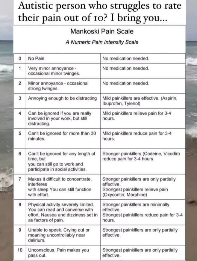 No Nonsense Neurodivergent tweet media