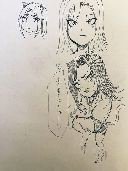 拓海猫という概念。 