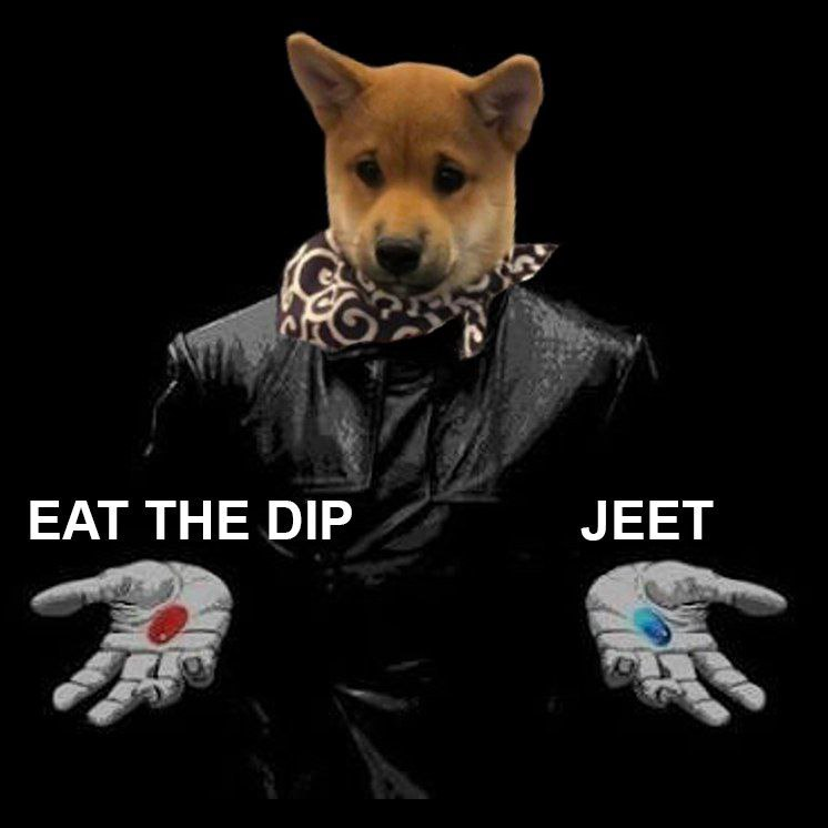 Blocboybenji's tweet photo. Ladies & gents,

You have a second chance to be early in a token similar to $WIF, which reached a $7 billion market cap at its ATH.

Stop being a jeet and think outside the box—set your targets higher.

You either choose to escape the trenches or stay in the matrix.

Thank you,

Yours,
Tardscarf @dogwifscarfcto