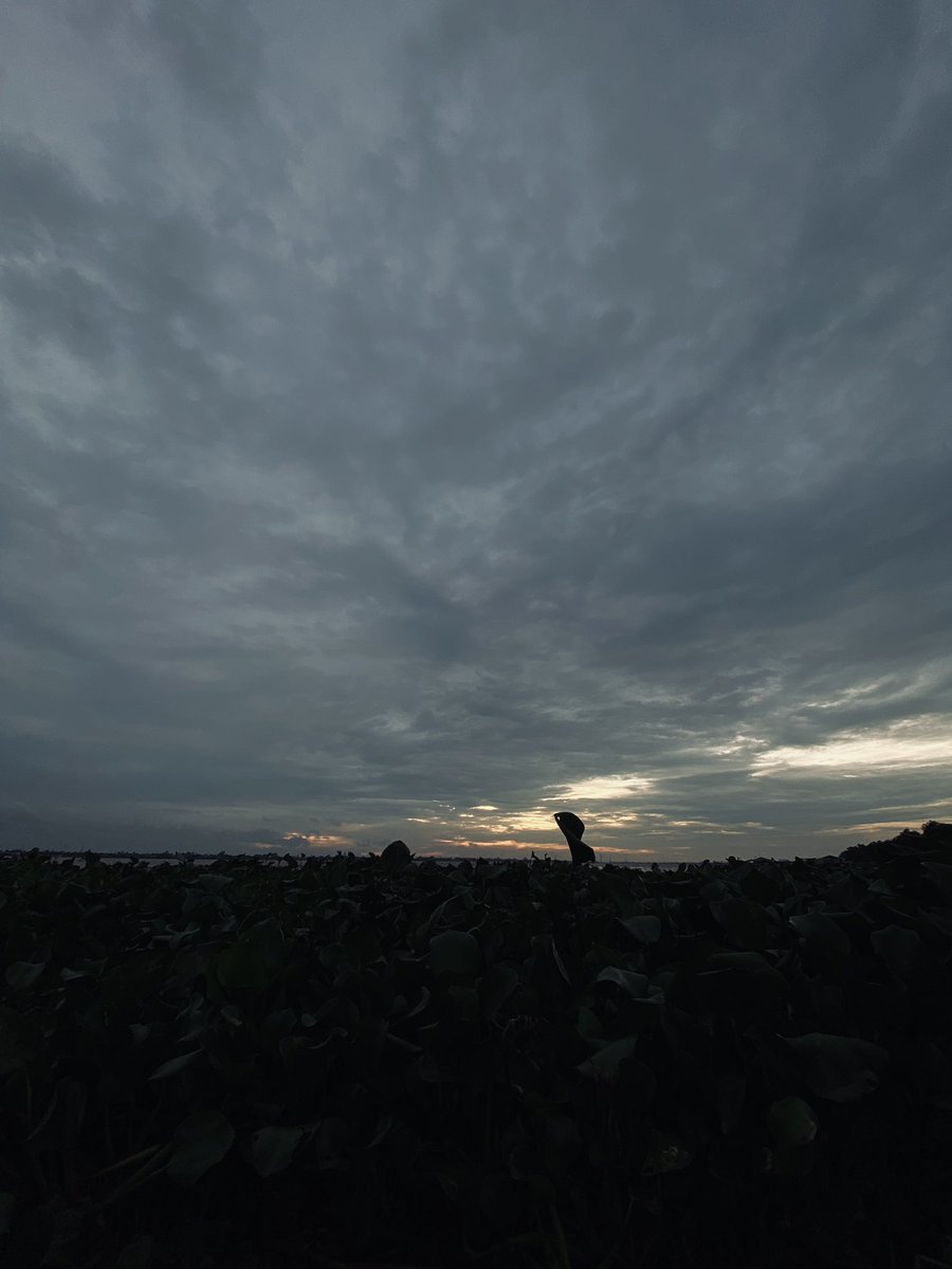 Mọi chuyện rồi cũng sẽ qua thui, cố lên!!!