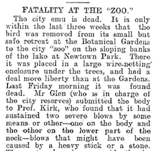 Joel MacManus tweet media