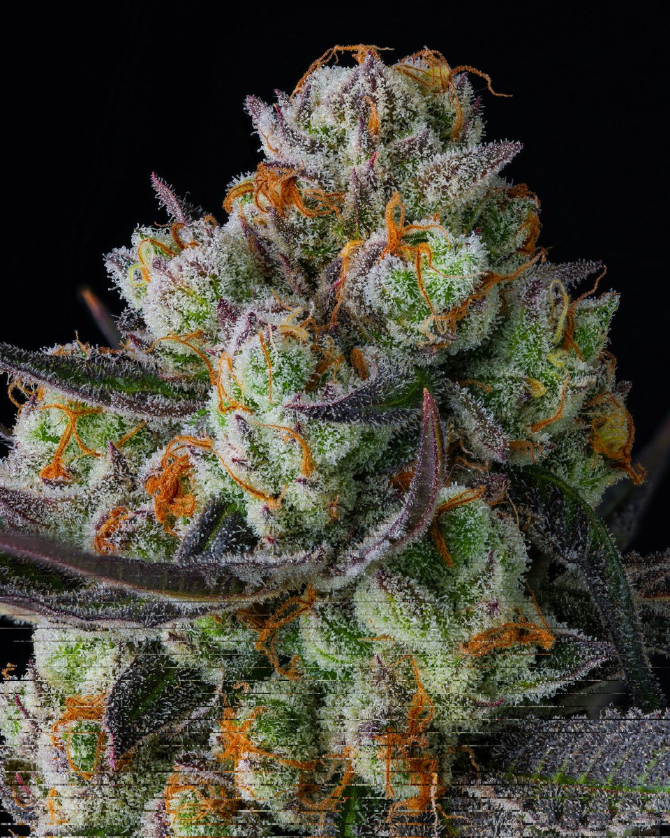 How is everyone feeling about the state of the industry?