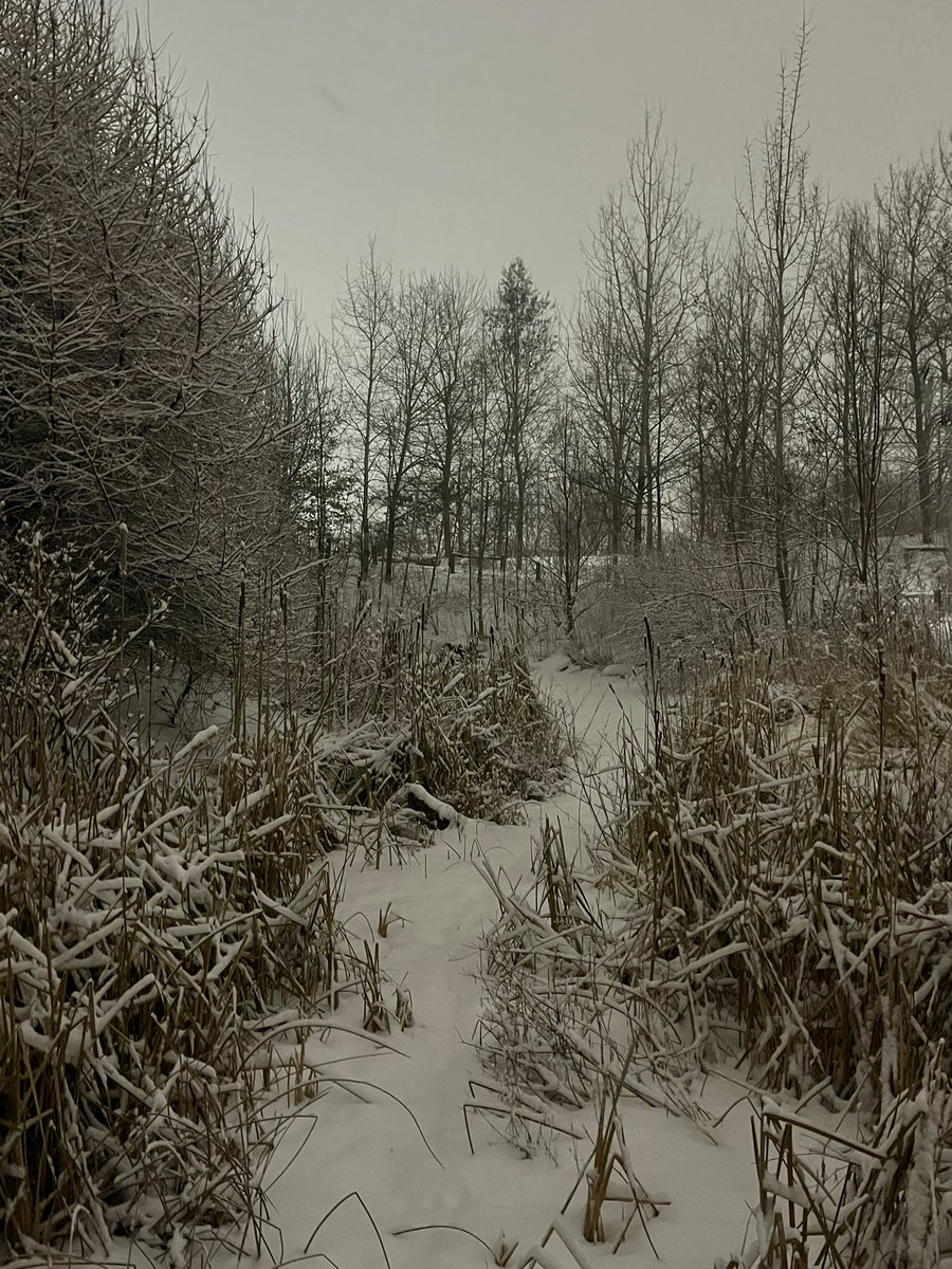 Corktown Common tweet media