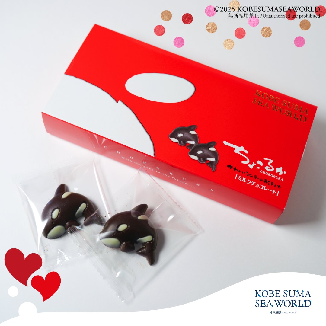 かずぽん かずぽん (@kazupon_12_3) / Posts / X