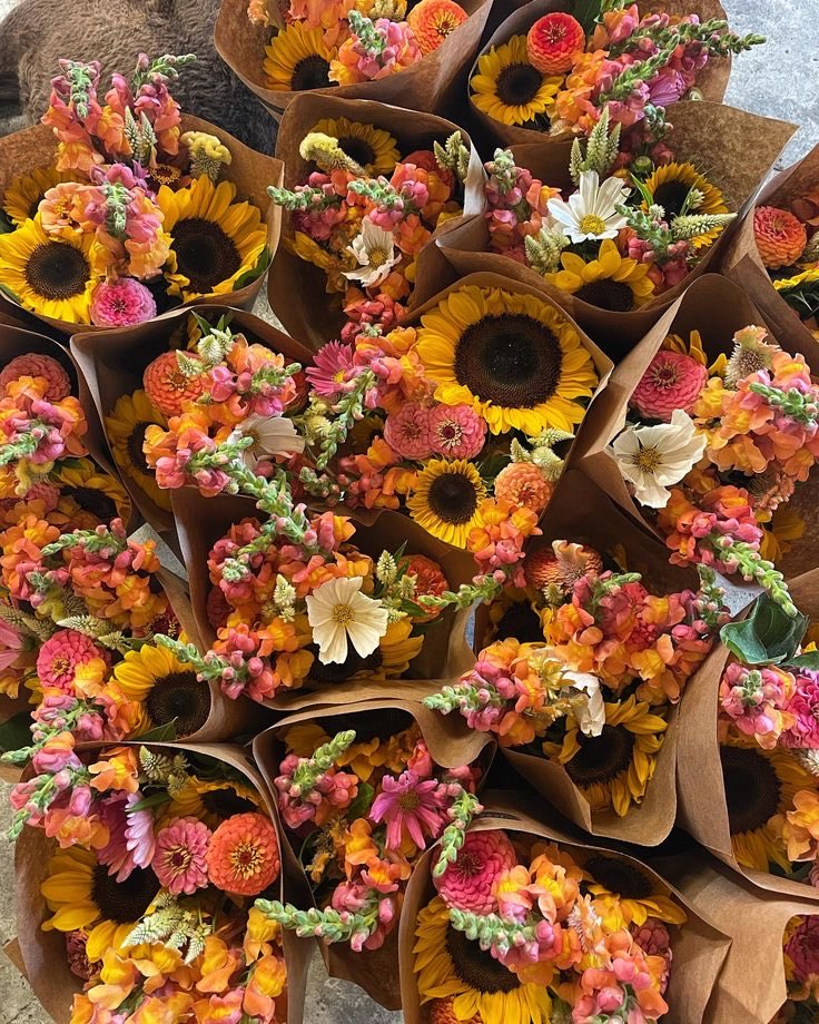 SUNFLOWER 🌻 (@sunflowerchives) on Twitter photo 