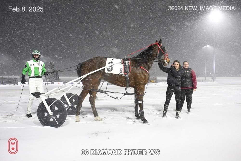 A little winter racing eh #standardbreds <a href="/WoodbineSB/">Woodbine Mohawk Park</a>
