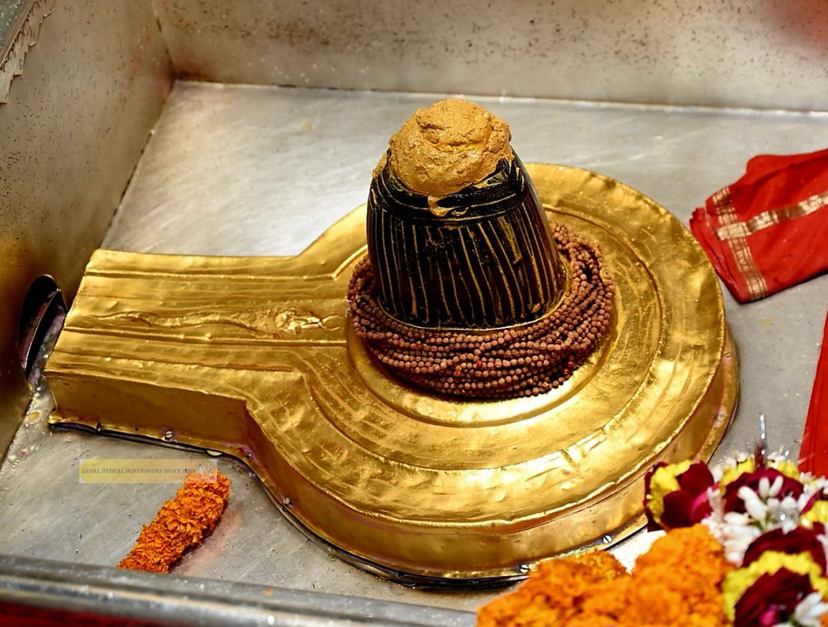 ShriVishwanath's tweet photo. आज श्री काशी विश्वनाथ जी की मंगला आरती I
#kashi #VishwanathDham #sanatandharma #devotion #darshan https://t.co/ej22gOv5fx
