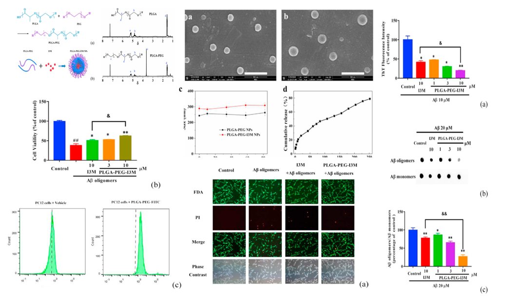 medntdj's tweet image. Indirubin-3′-monoxime-loaded PLGA-PEG nanoparticles for potential Alzheimer's disease treatment sciencedirect.com/science/articl……… #Nanoparticles #Alzheimer's disease #Drug delivery #Indirubin-3′-monoxime #MedTwitter #scicomm #MedEd #AcademicTwitter