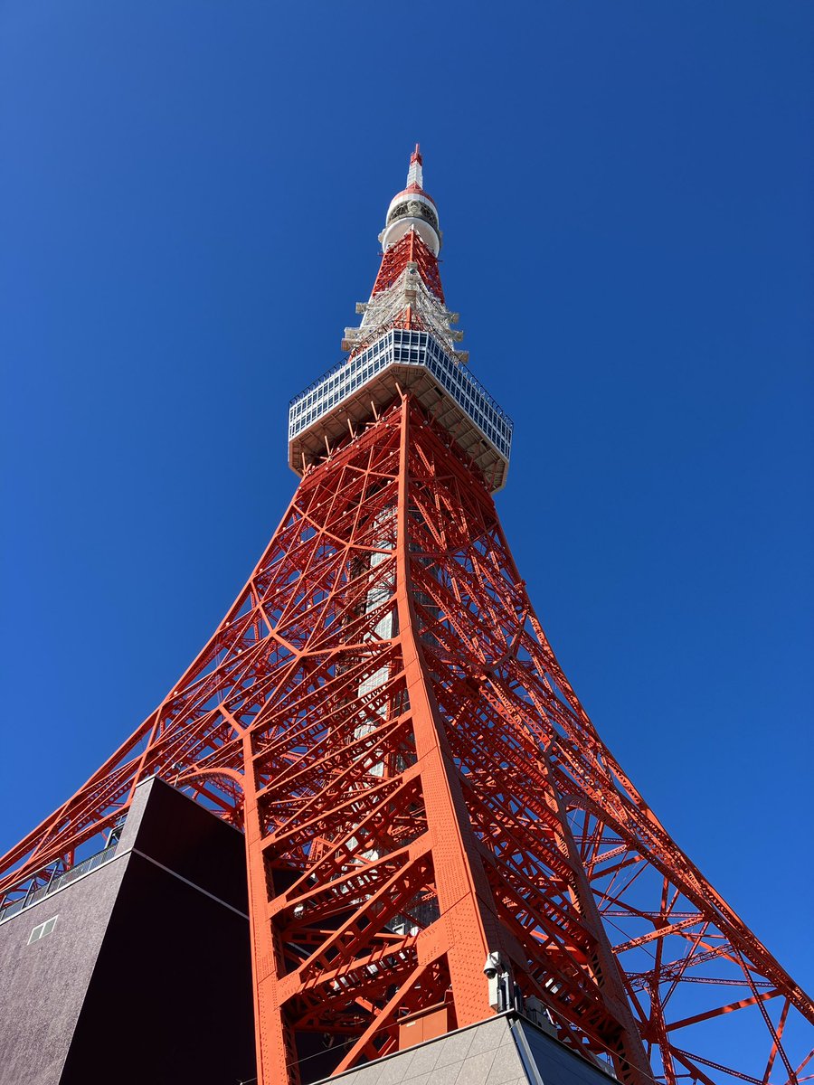 今日のタワー🗼