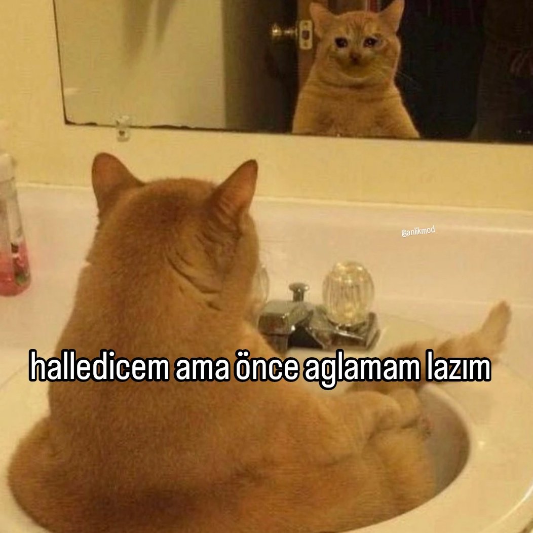 ANLIK (@anlikmod) on Twitter photo 