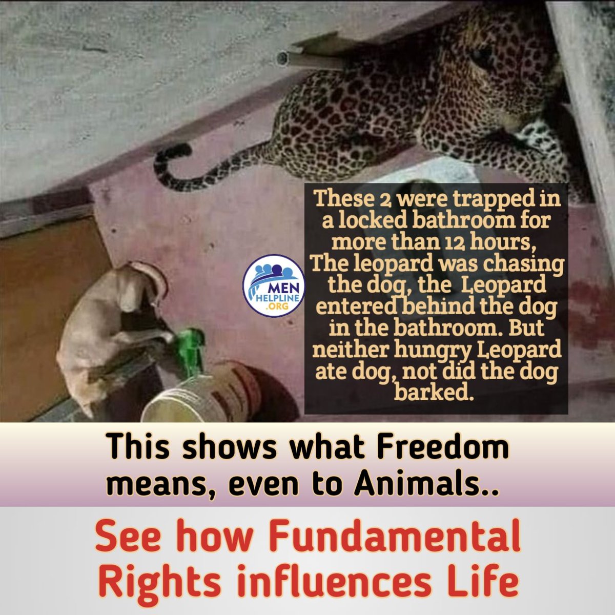 menhelpline's tweet photo. Now you can relate #MensPlight that how Men are struggling to surve in supposedly Just world with unjustified provisions of law.

@AmitShah @PMOIndia

#MenLivesMatter #MenToo #Divorce #JusticeIsDue #AtulSubhash #MensRights https://t.co/iIF8H6zkra