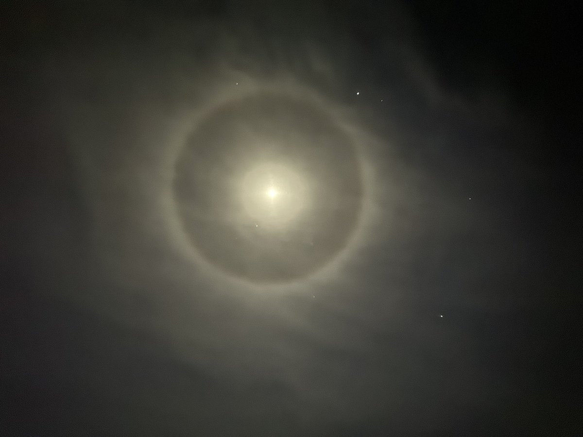 ChrisWebster tweet media