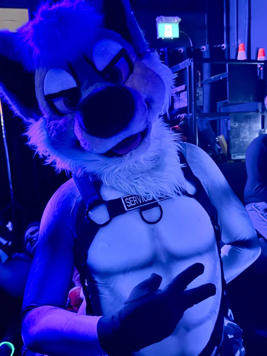 Had a hell of a good time at <a href="/GET_MUZZLED/">MUZZLED</a> last night 🔥