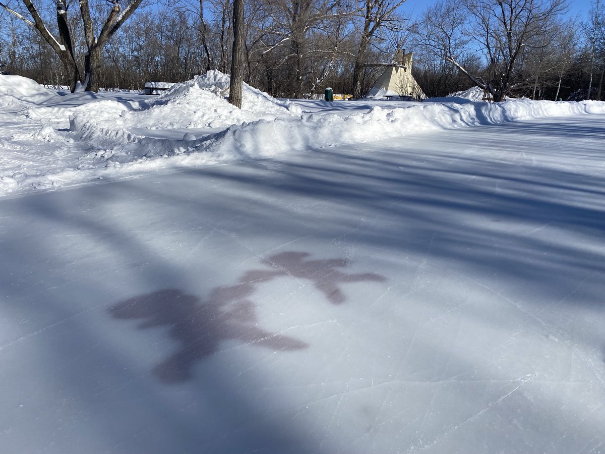 CTVGareth's tweet image. Valentines Day is already in the air at Echo Valley Prov Park. The fresh snow made everything look so pristine and wintery. @SaskParks #valentinesday #echovalley #winterwonderland #yqr