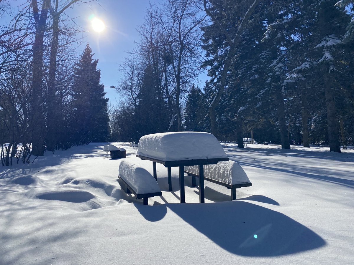CTVGareth's tweet image. Valentines Day is already in the air at Echo Valley Prov Park. The fresh snow made everything look so pristine and wintery. @SaskParks #valentinesday #echovalley #winterwonderland #yqr