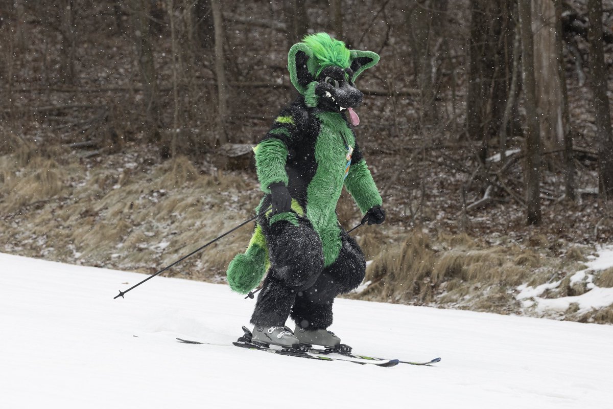 We had a nice 1-2 inches of snow come down during furski!

🐾: <a href="/SoundVillageDog/">Sushi with soy sauce</a> 
📸: me

#furski #furskiwi #skiing #ski #fursuit #fursuiting #furryconvention #furrycon #furcon