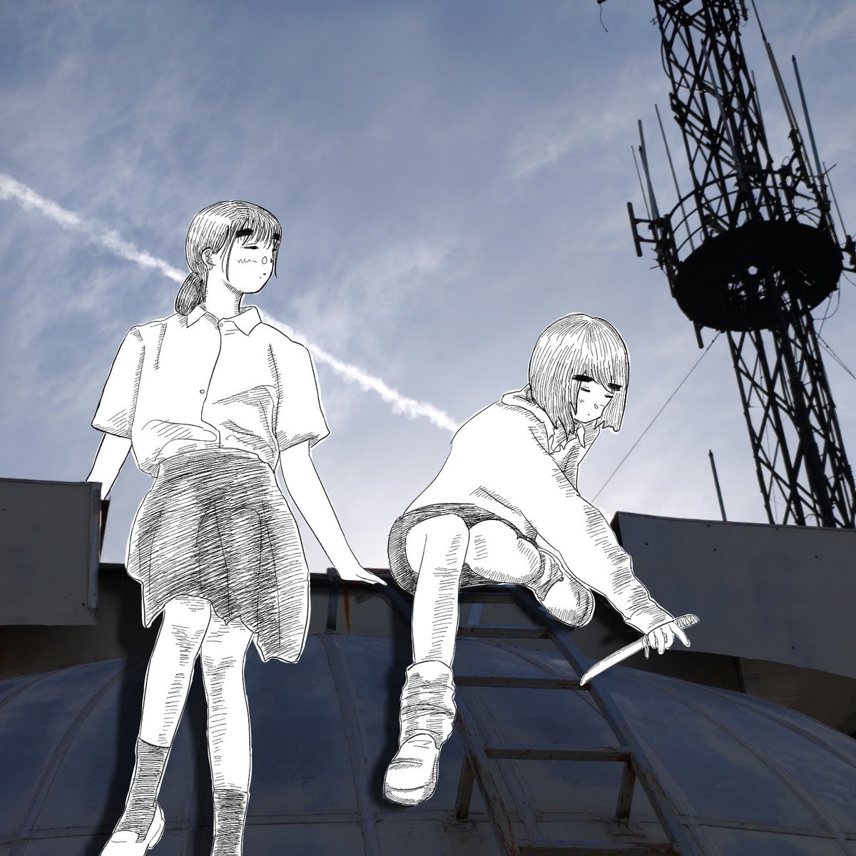 希希 (シシ) tweet media