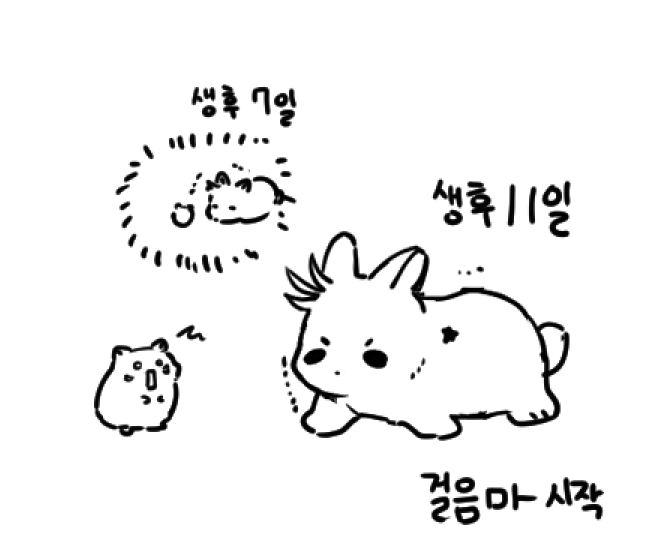Hamon_Tokki's tweet photo. https://t.co/NURymF9Mel