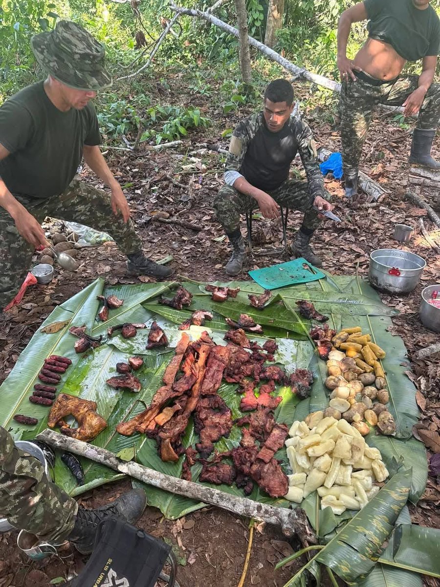 Pedroelgrande74's tweet photo. Dra @VickyDavilaH  que el ejército de Colombia la quiere invitar a un Asadito en la selvas colombianas cuando quiera 👍👍👍 https://t.co/lcPmhXQKP8