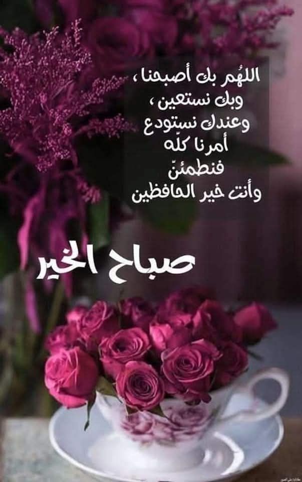 احمد شهاب (@mdshb593411) on Twitter photo 