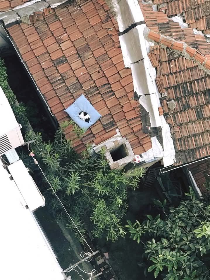 anthraxxxx's tweet photo. Bantal yang terjatuh kat bumbung rumah orang dah ada owner baru https://t.co/C6FKBR7Jbq