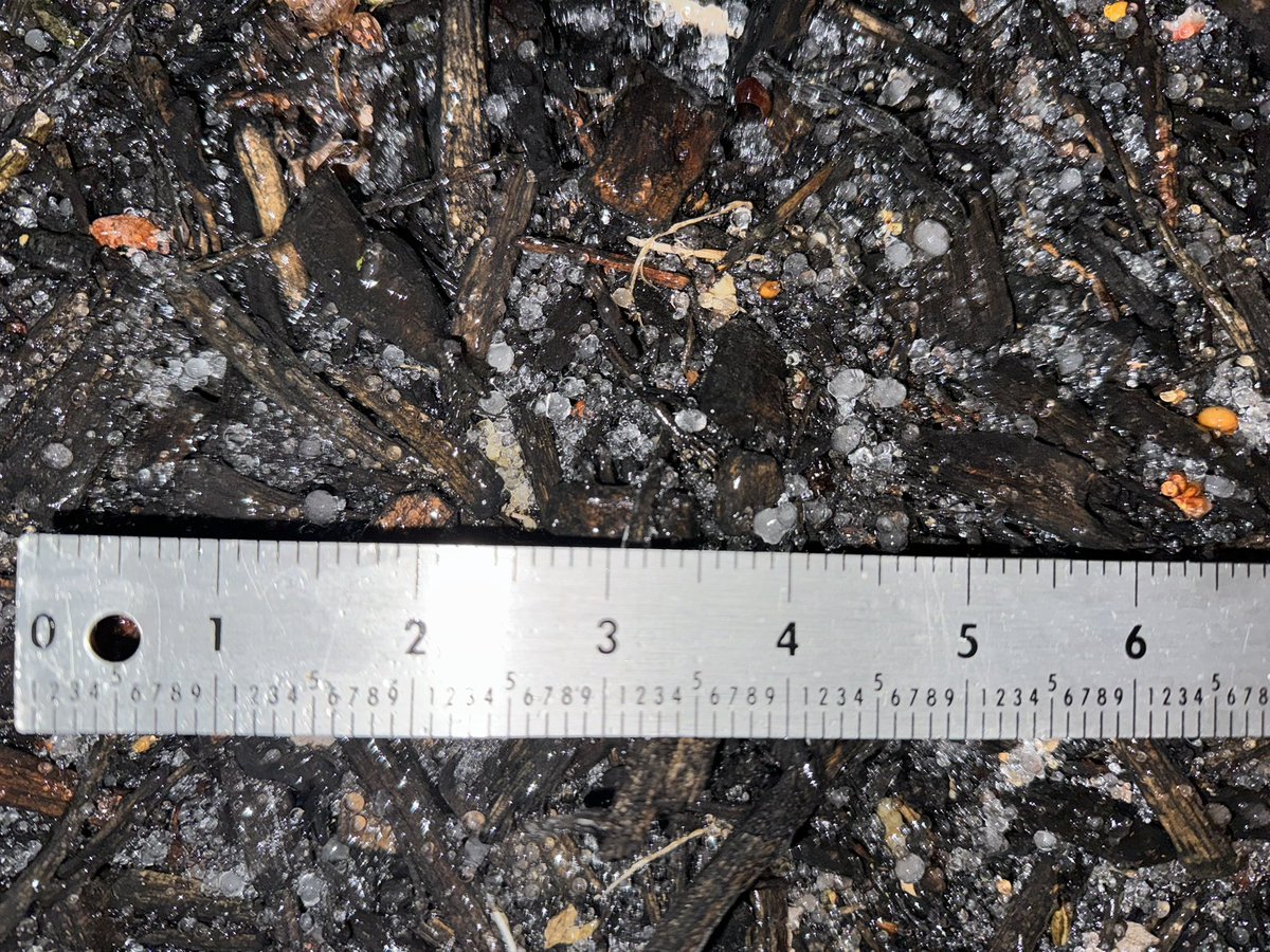 Some of the largest sleet pellets I’ve ever seen. Some were up to 0.2” in diameter! #NJwx