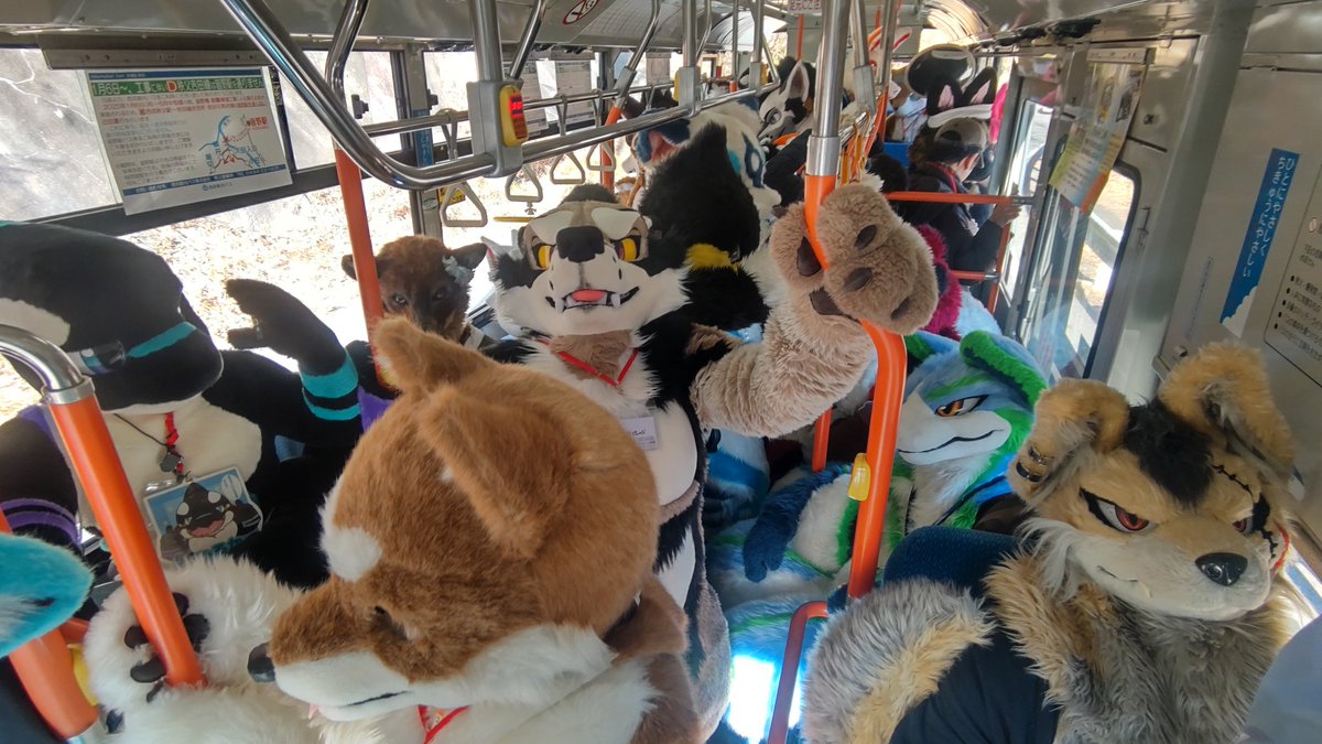 けものの世界の通勤風景！