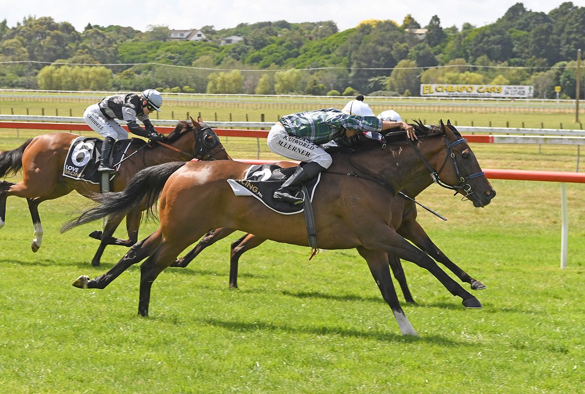 Stephen Gray Racing (@copperbelt_stc) on Twitter photo Tivaci’s Affair back in business 💪🏼
Third up today we saw the daughter of <a href="/WaikatoStud/">Waikato Stud</a>’s Tivaci back in the winners circle. After finding the line well second up she earnt favouritism and duly delivered for punters in the hands of <a href="/MarcoLerner/">Marc Lerner</a> ✨
Congratulations! Tivaci’s Affair back in business 💪🏼
Third up today we saw the daughter of <a href="/WaikatoStud/">Waikato Stud</a>’s Tivaci back in the winners circle. After finding the line well second up she earnt favouritism and duly delivered for punters in the hands of <a href="/MarcoLerner/">Marc Lerner</a> ✨
Congratulations!