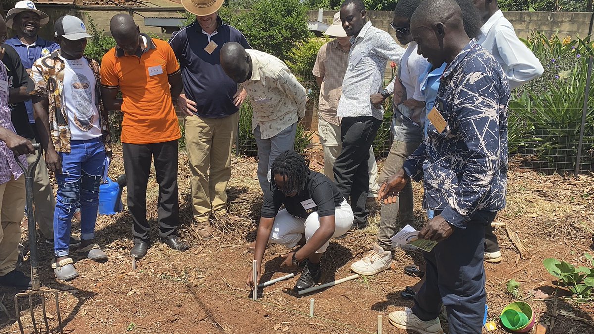 Nandera Elizabeth Fortunate (Omw'eneloba) tweet media