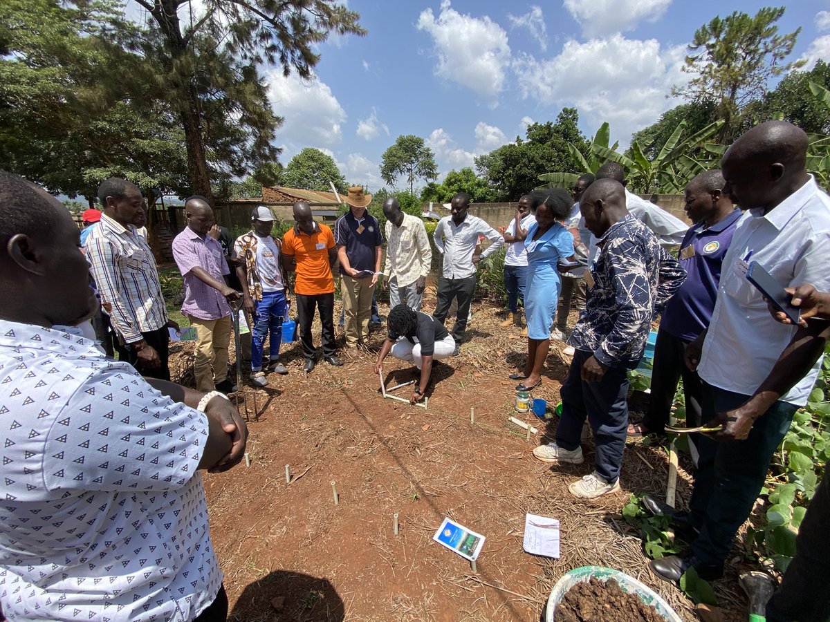 Nandera Elizabeth Fortunate (Omw'eneloba) tweet media