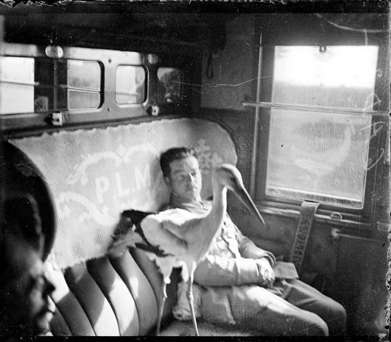 OrthodoxCell's tweet image. Bless my Perfect life