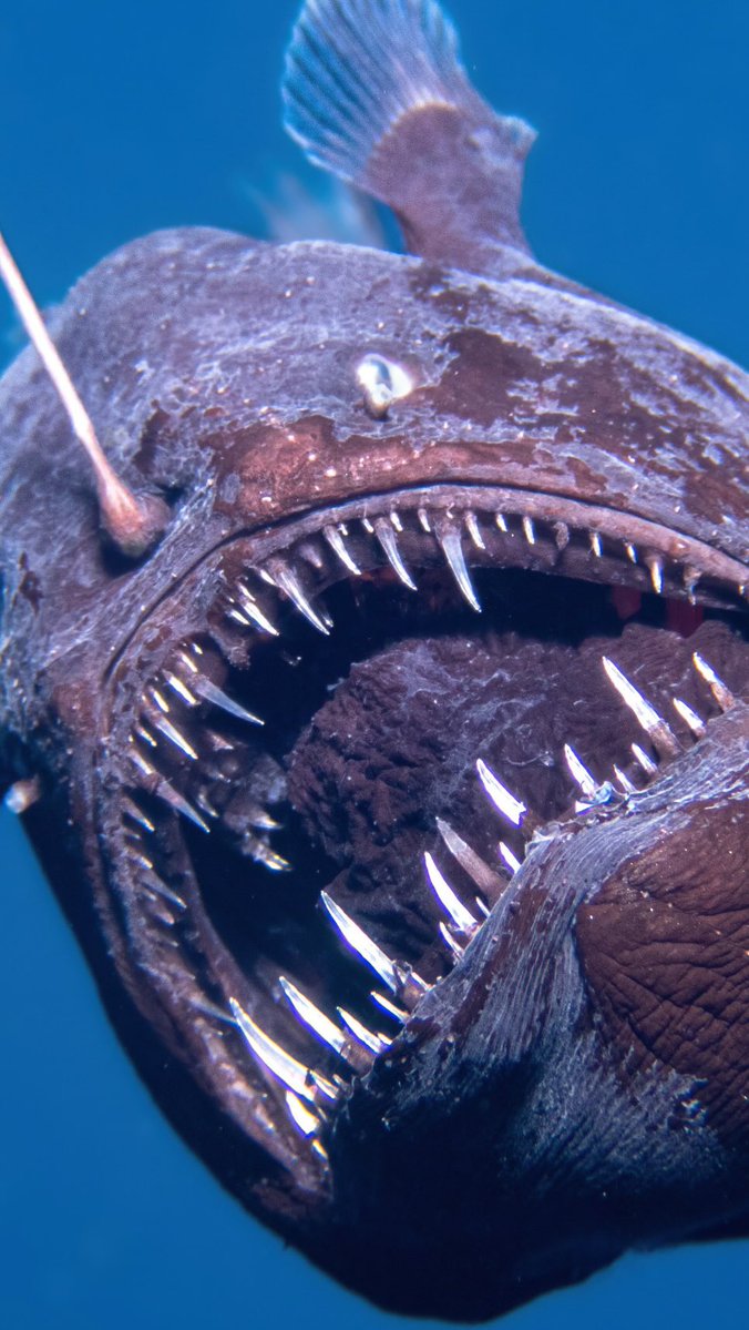 punk_y_cursi's tweet image. Así se siente la vida adulta.