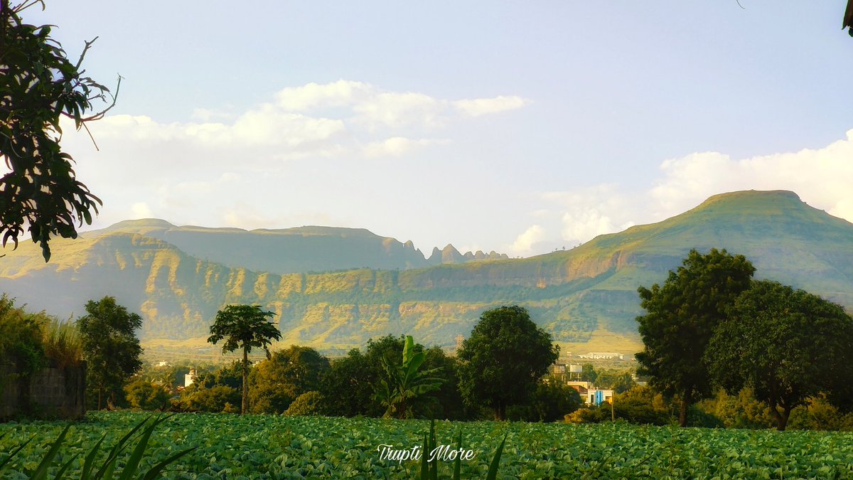 TruptiMore9's tweet photo. Some pictures from Junnar!
The place which offers surreal views be it sunrise or sunset. A ride through these mountains can surely uplift your mood. You will surely find it less crowded. 
Misal, Kadhi Wada, Kat Wada(कट वडा), Maswadi (मासवडी) are unique dishes that you can try here.
#Junnar #Pune #Sahyadri
