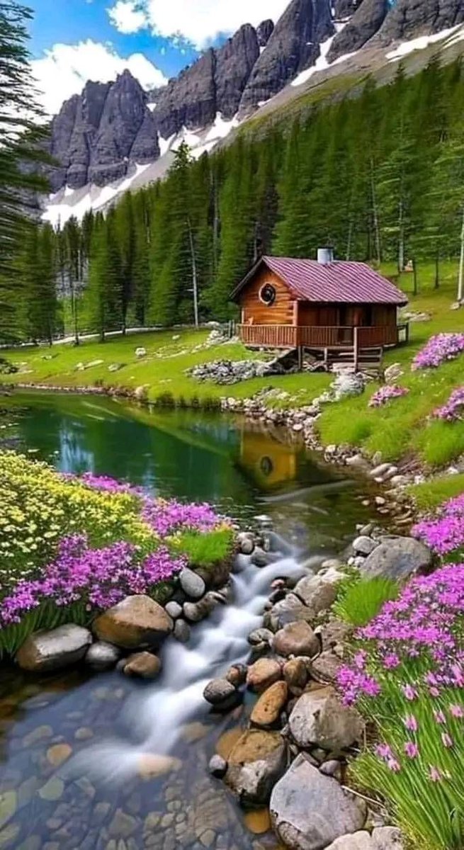 RotilaMirc52413's tweet image. 