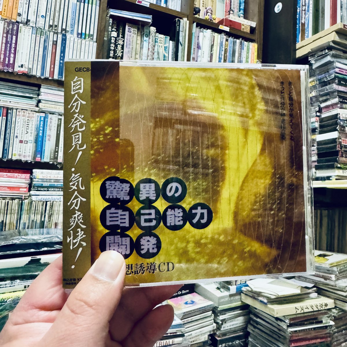猫街まろん🌰 on X: 