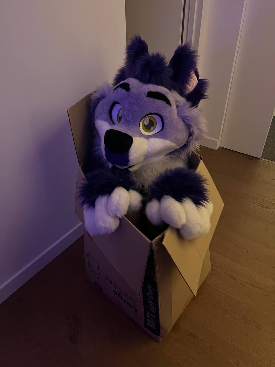 SkylarFlare's tweet photo. Box fox delivered to your door :D https://t.co/arxesiB6DH
