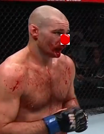 CryptoFace tweet media