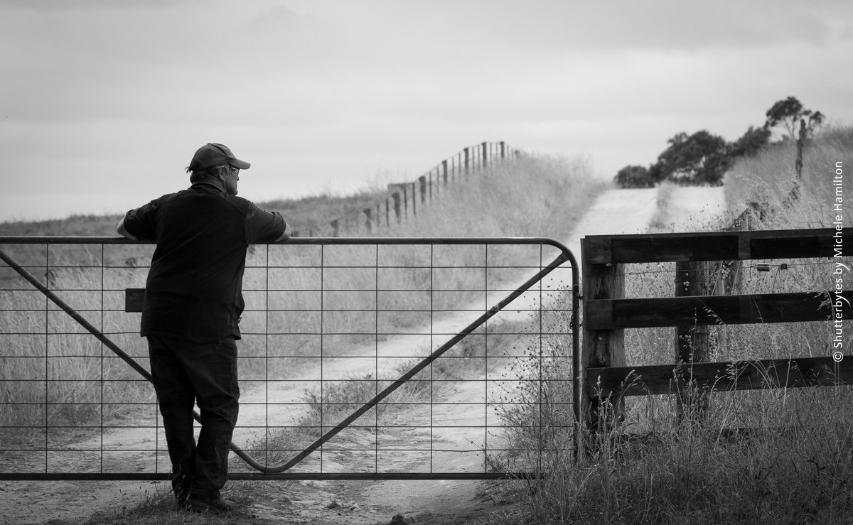 Hamiltons_Run's tweet photo. Genuinely grateful for this outblock to have been part of our farming history. Sad to be closing gate for the last time, but also glad to have another property closer to home now ready for our farming future.
#dairyfarming
#GrantDistrictCouncil
#LimestoneCoast
#southaustralia https://t.co/1gyCM09yzK