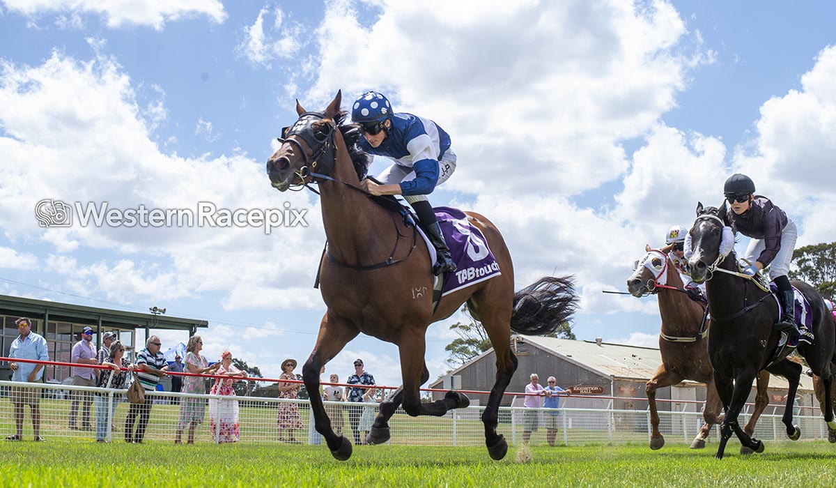 Western Racepix tweet media
